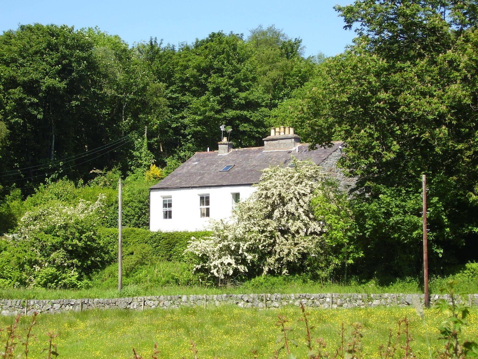 Craignair Cottage Dalbeattie Exterior photo
